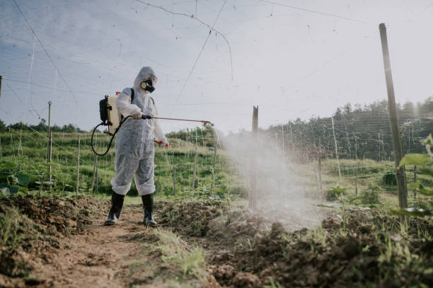 Professional Pest Control in Denair, CA