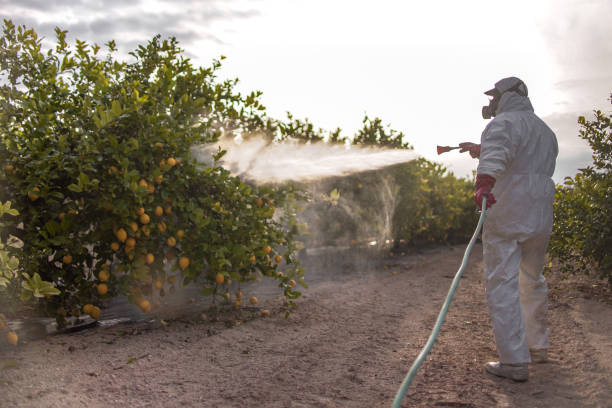 Best Affordable Pest Control Services  in Denair, CA
