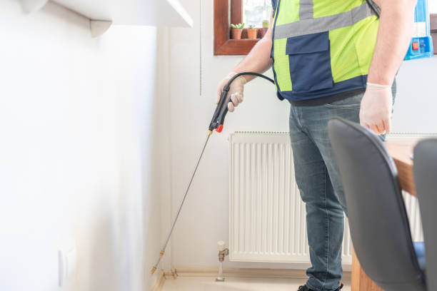Best Wasp Removal Services  in Denair, CA