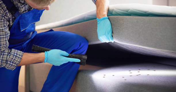 Best Affordable Pest Control Services  in Denair, CA