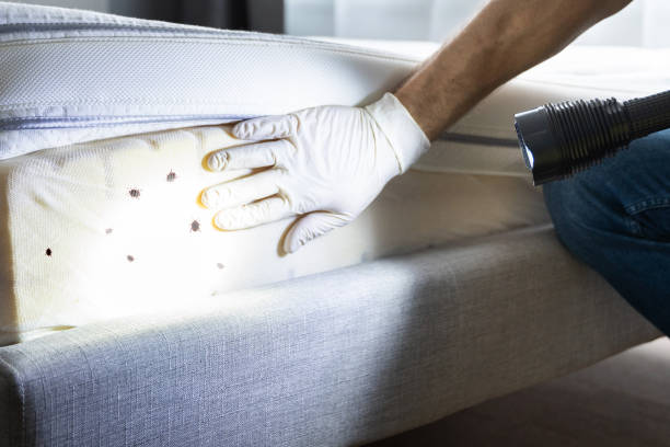 Best Best Pest Control Companies  in Denair, CA