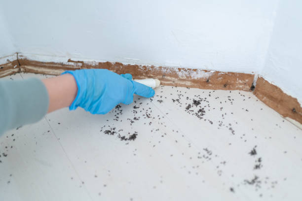 Best Pest Removal Services  in Denair, CA